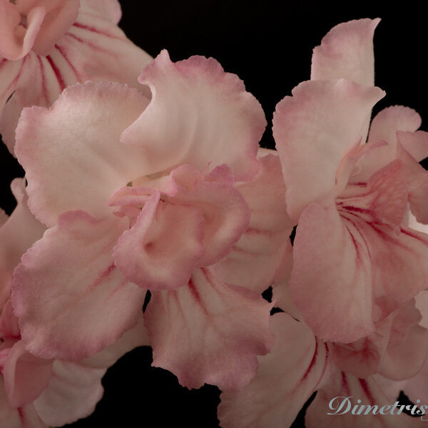 _ds_925equal_277