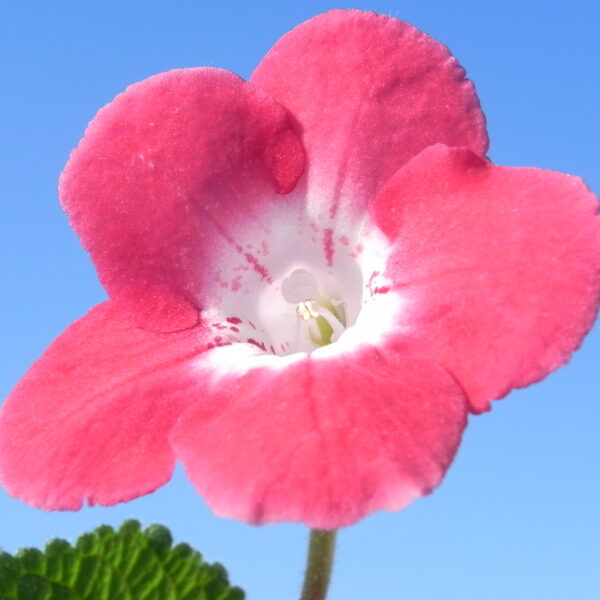 dscn8691_140