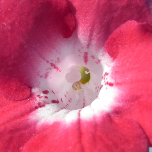 dscn8694_922