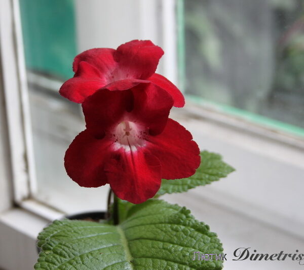img_1460_111