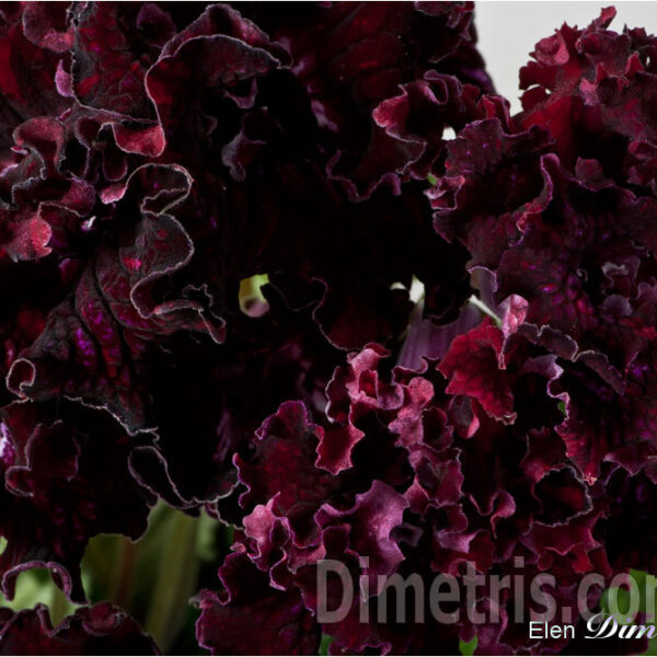 ds__1_472 ds__1_472