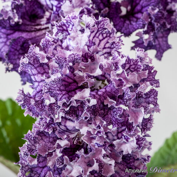 ds_1759_oe_404