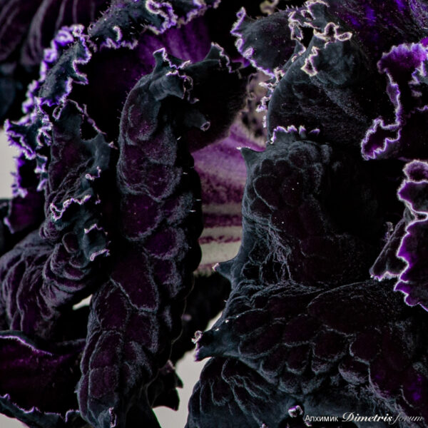 2258_607