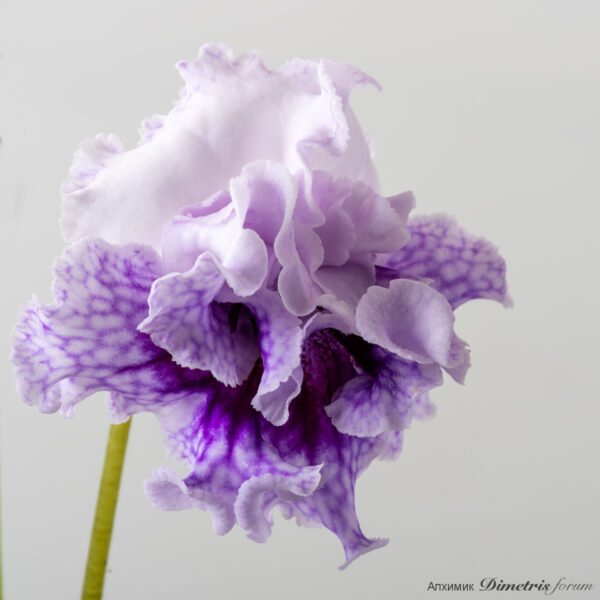 ds_2622zyd_176