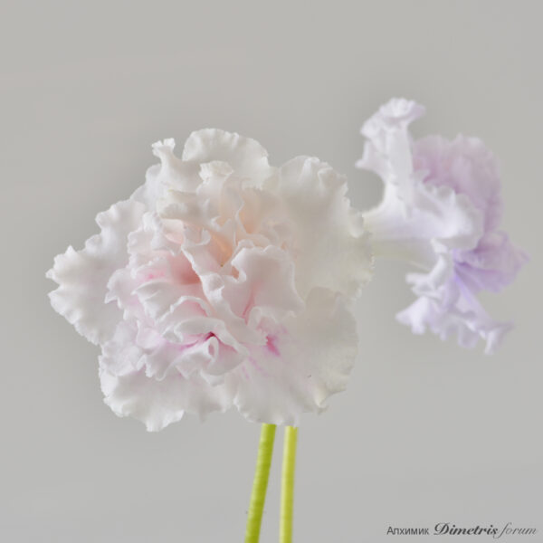 ds_2641___178
