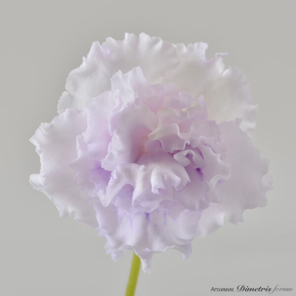 ds_2641___704