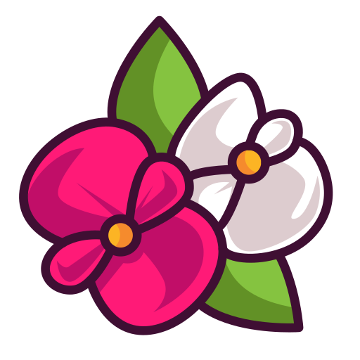 begonia