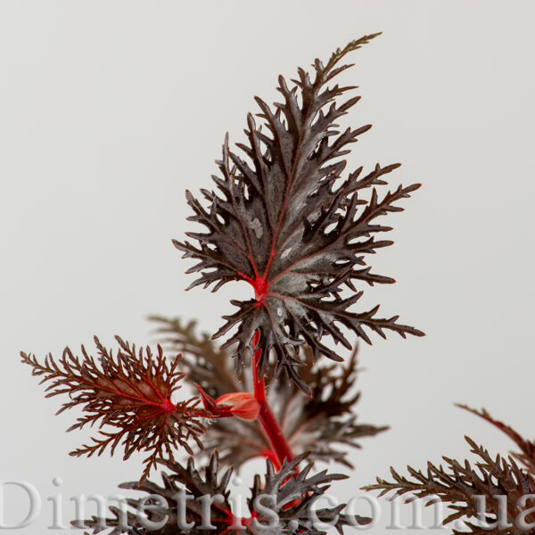 ds_needle_lace_139-1