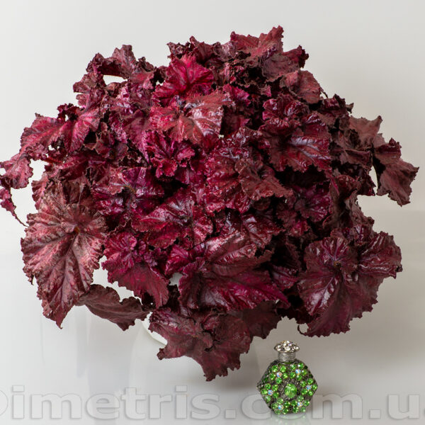 ds_red_diamond_6_837
