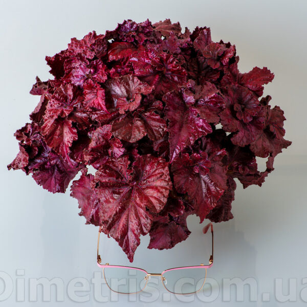 ds_red_diamond_7_263
