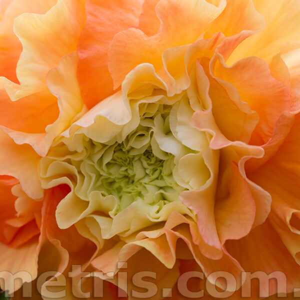 dsc_1207_127