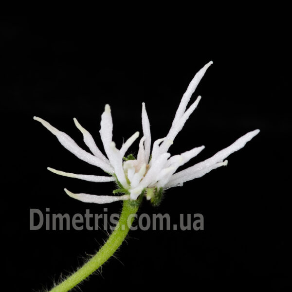 dsc_6755_166