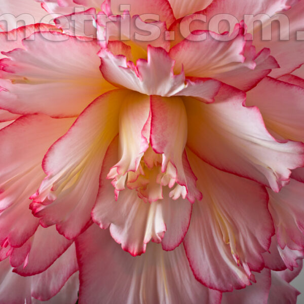 dsc_7616_964