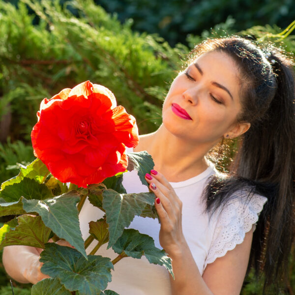 gipsy_1_192