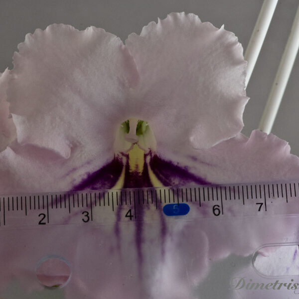 073___201