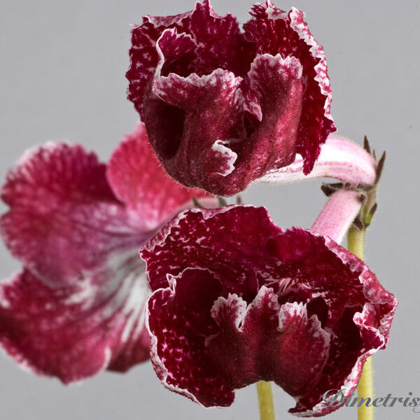 076__189