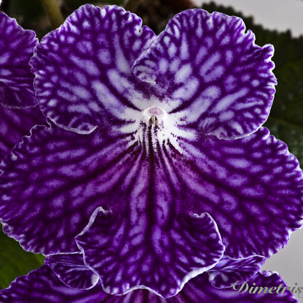 252__189