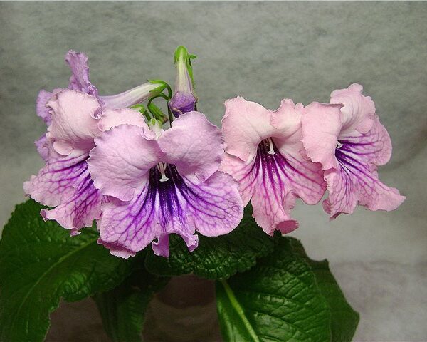 360585fda854_159