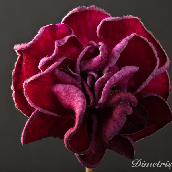 ds_1011_7_114