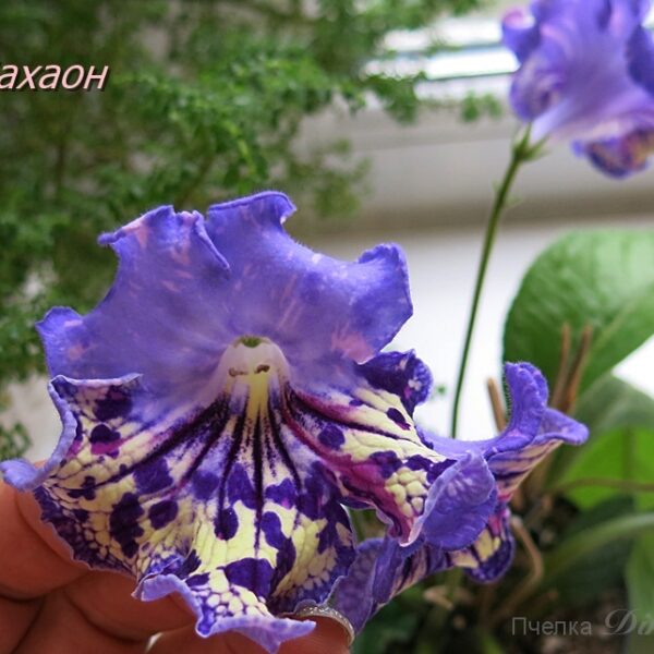 ds_10_457
