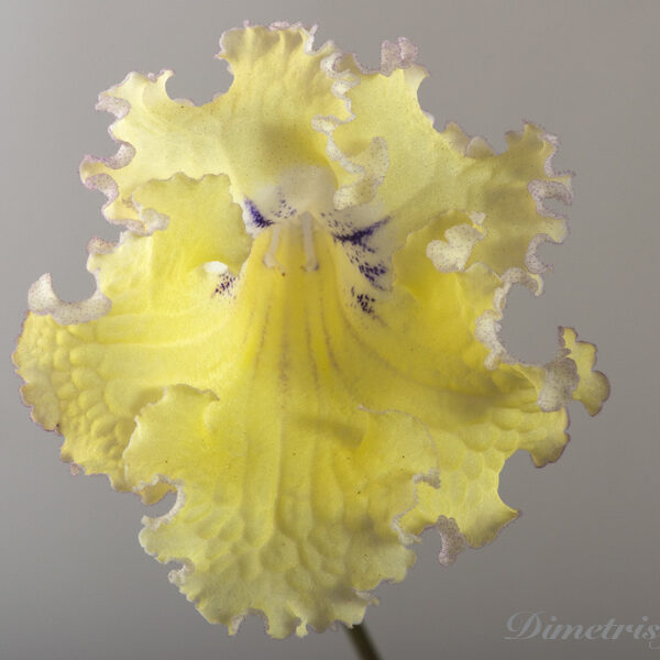 ds_1123_24__796