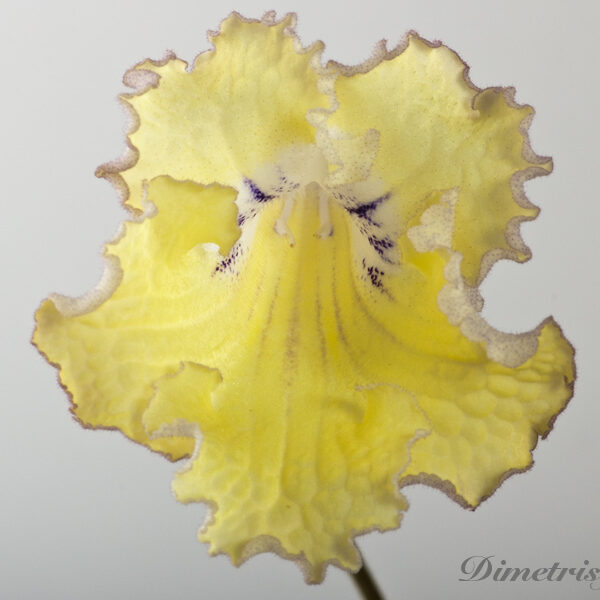 ds_1123_948