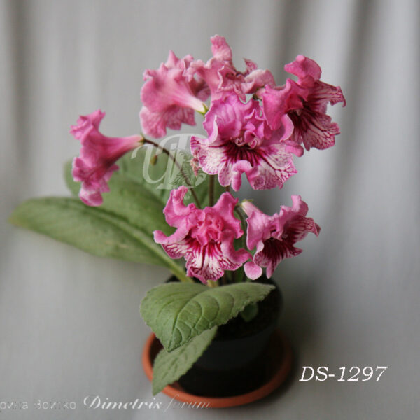 ds_1297_1ds_197