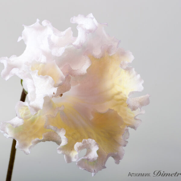 ds_1853equal__116