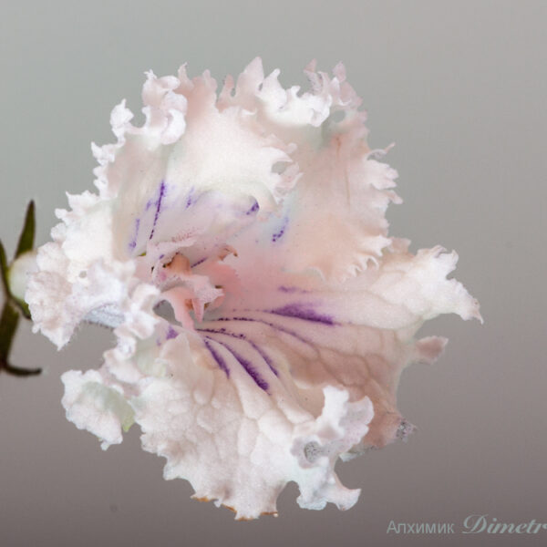 ds_1866_858 ds_1866_858