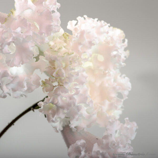 ds_2137_c_jre_210