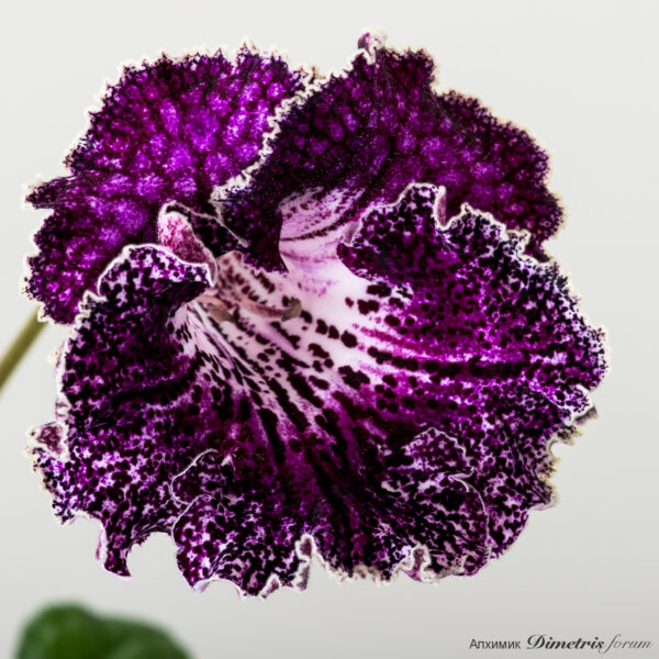 ds_2148__210