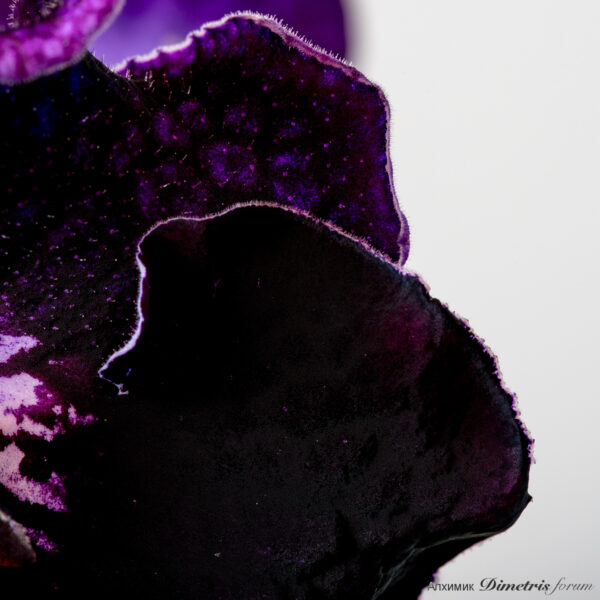 ds_2187_263