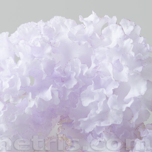 ds_2232_1_136