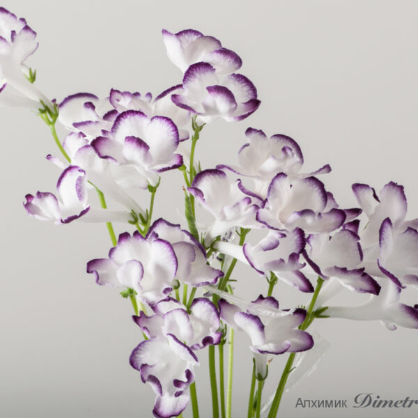 ds_537equal_202