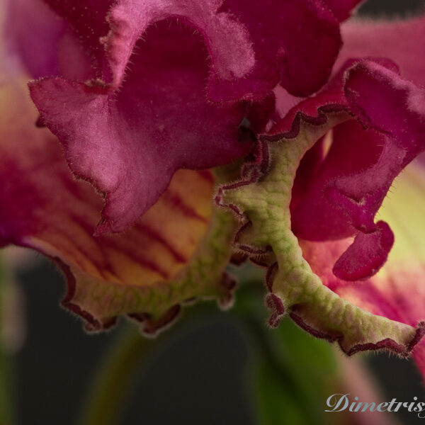 ds_857equal_127