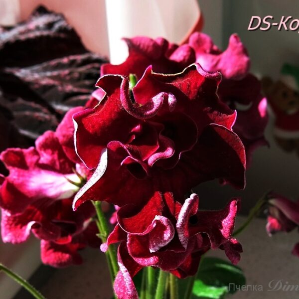 ds_8_691