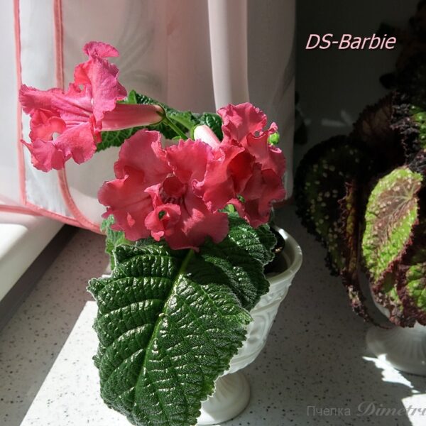 ds_barbie_106 ds_barbie_106