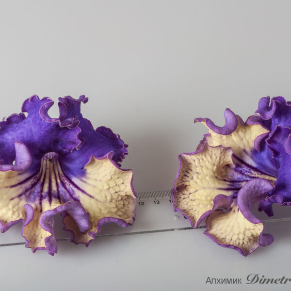 ds_l_296 ds_l_296