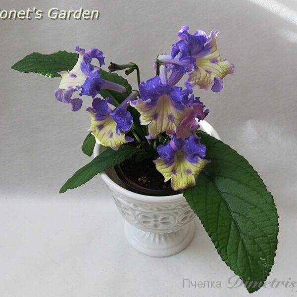 ds_monets_garden3_187