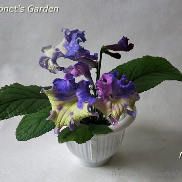 ds_monets_garden_1_123