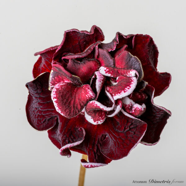 ds_my_heart_928