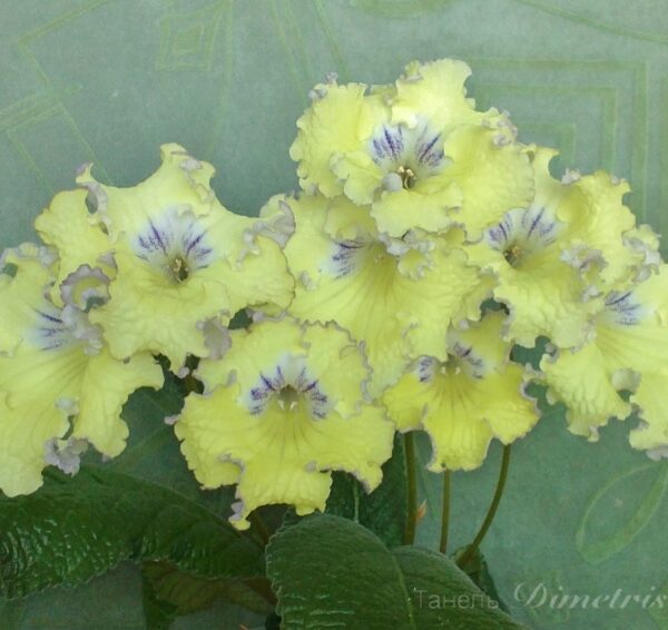 ds_oe_5_2_103