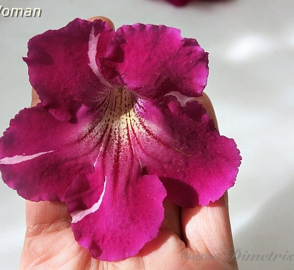 ds_woman6_294