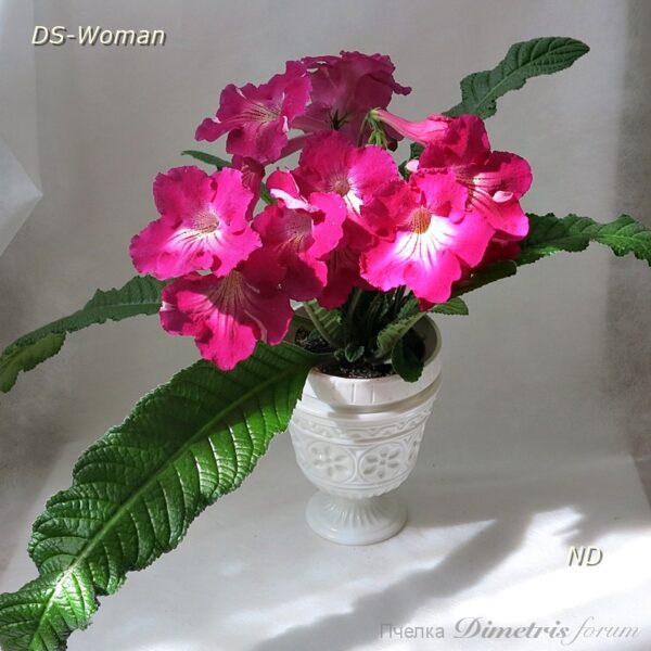 ds_woman7_181