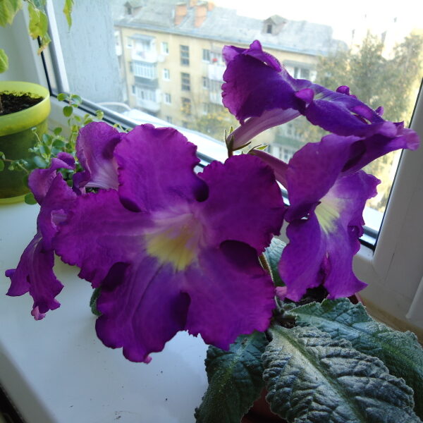 dsc08502_152