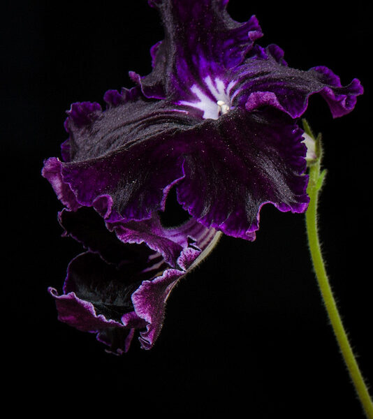 dsc_0387_147