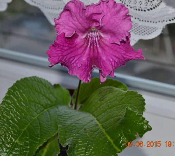 dsc_1089_174
