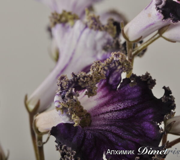 dsc_3766_212 dsc_3766_212