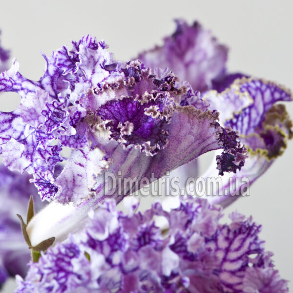 dsc_5684_183