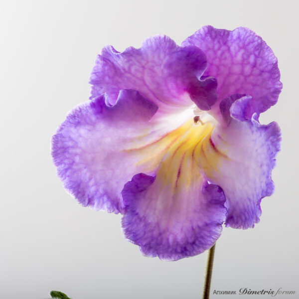 dsc_6729_197